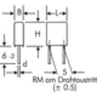 MKS2D033301E00KSSD-1