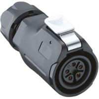 TC4019BP