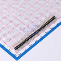 DS1021-1x30SF11-B