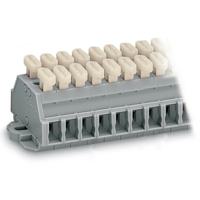 261-431/341-000