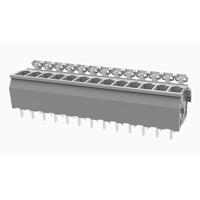DG242V-5.08-13P