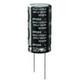 TDK Electronics Inc. B41821A3108M000
