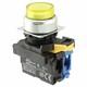 Omron Automation and Safety A22NL-RPM-TYA-G100-YB