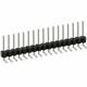 PEC17SGAN