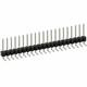 PEC21SGAN