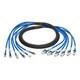 N261-006-6MF-BL