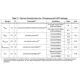 SPC584Cx, SPC58ECx Getting Started Guide Outline Dimensions_9