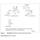 pid_6196847_05e22da1f1a68d4846a7956653518987.pdf Outline Dimensions_2