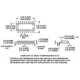 ADuM140-42D,E Outline Dimensions_2