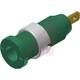 975455704