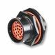 MS24265R20B41SN-LC