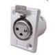 XLR2A31
