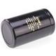 ALS30A223MF100