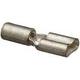 DM1-488-C