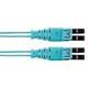 FX2ELQ1Q1ONM005