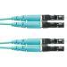 FXLE10-10M6