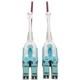 Tripp Lite N821-01M-MG-T