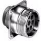 MS24266G22T55PN-L/C