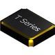 T10GC1-48.000MHZ-T