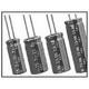 NEDL106M2.5V12.5X25F