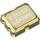 SG3225EAN 161.132800MHZ KJGA