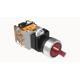 DT22M-S3LD11/RDAC/DC24V