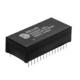 DS1270Y-100IND