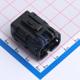 MG610335-5