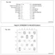 STM32G031x4, STM32G031x6, STM32G031x8 Datasheet  Pinout Diagram_12