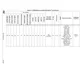 pid_65084820_3970bee946035209f30a0b2968d27c67.pdf  Pinout Diagram_40