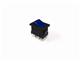RA1066ASFE-Switch