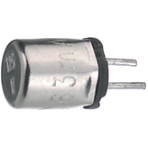 30313150001Littelfuse Inc.
