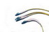 1063870102Molex