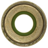 6003Ohmite