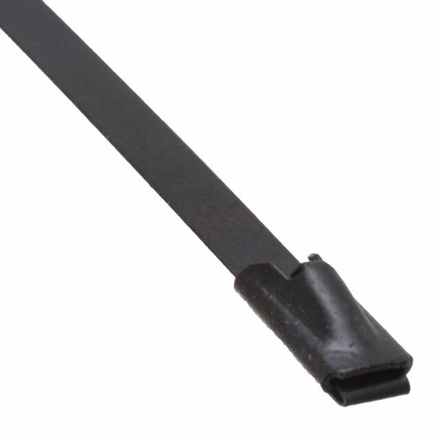 AL-08-100-SS-CT-CAdvanced Cable Ties, Inc.