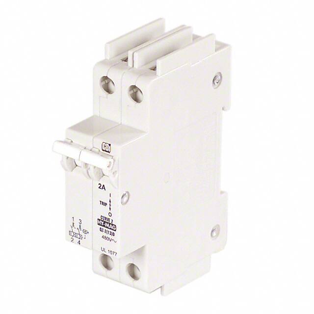 C2A2PAmerican Electrical Inc.