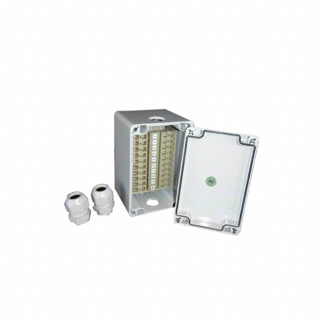 JB - FT10American Electrical Inc.