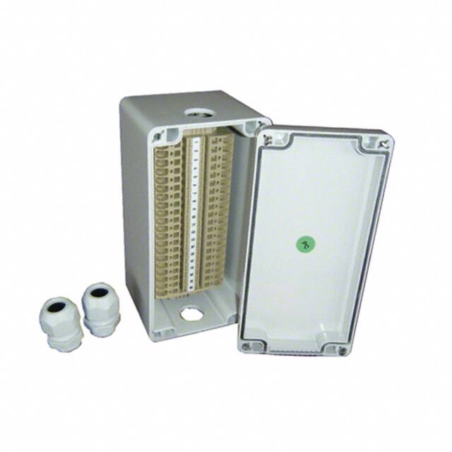 JB - FT20American Electrical Inc.