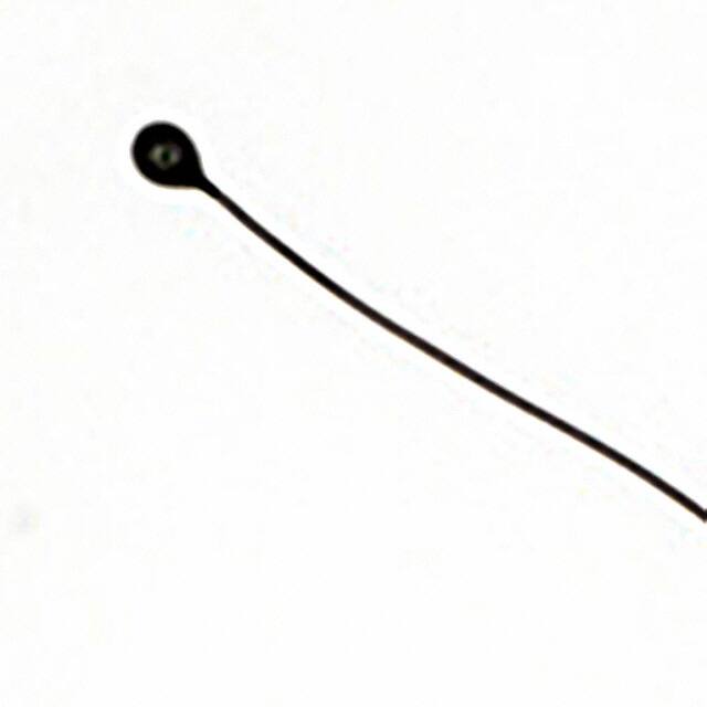 MC65F103CAmphenol Advanced Sensors
