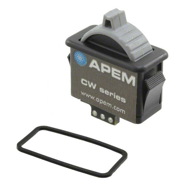 CW-B1GY1A00A0APEM Inc.