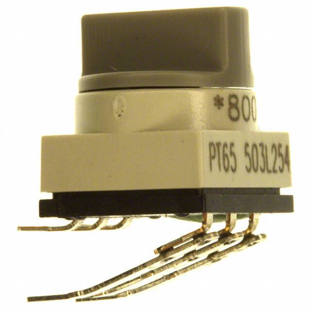 PT65503L254APEM Inc.
