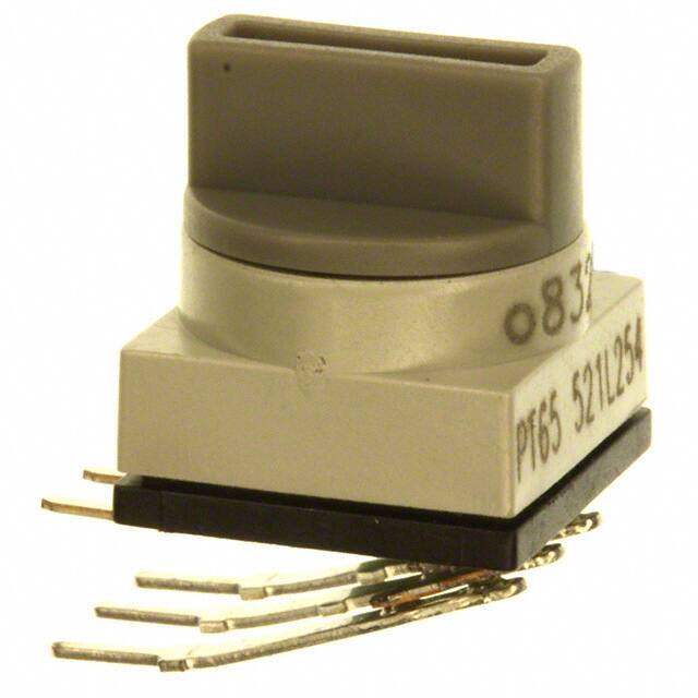 PT65521L254APEM Inc.
