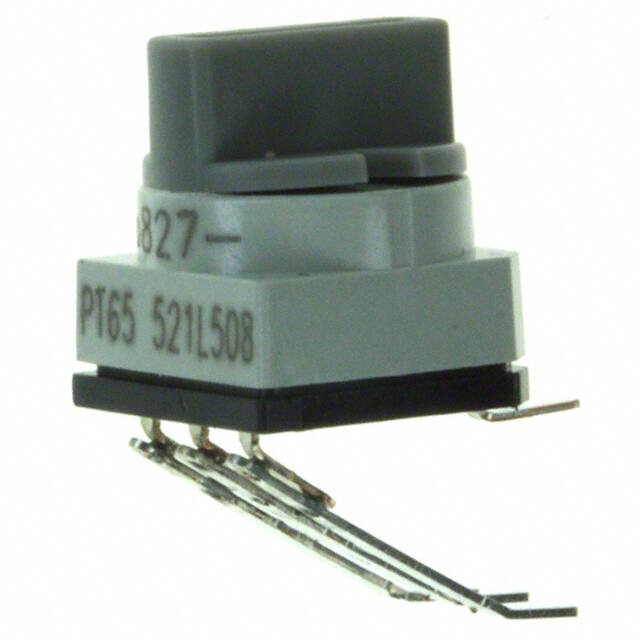 PT65521L508APEM Inc.