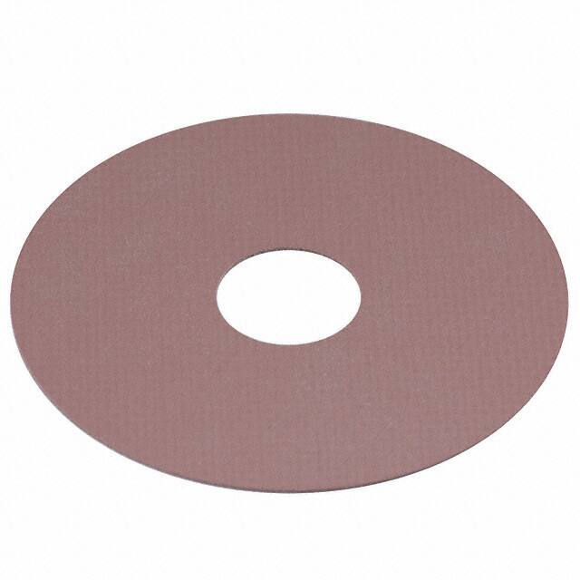 SP900S-0.009-00-25Bergquist