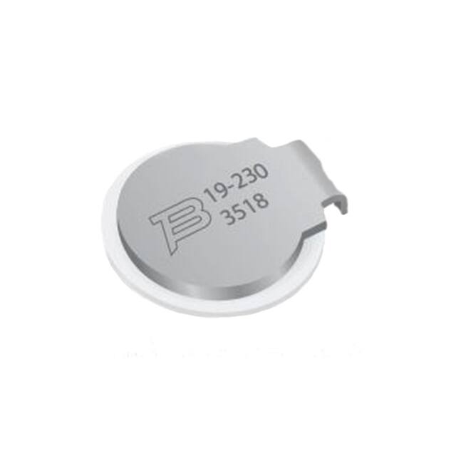 2019-09-SMH-RPLFBourns Inc.