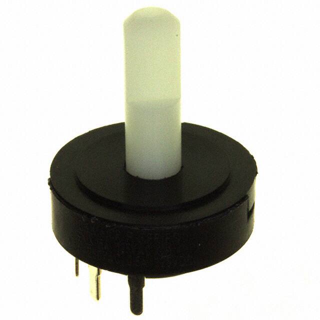 R10307RN02QC&K