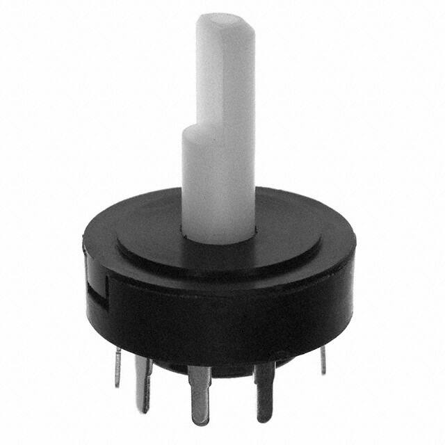 R20307RN02QC&K