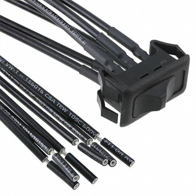 S802C21S2WCQC&K