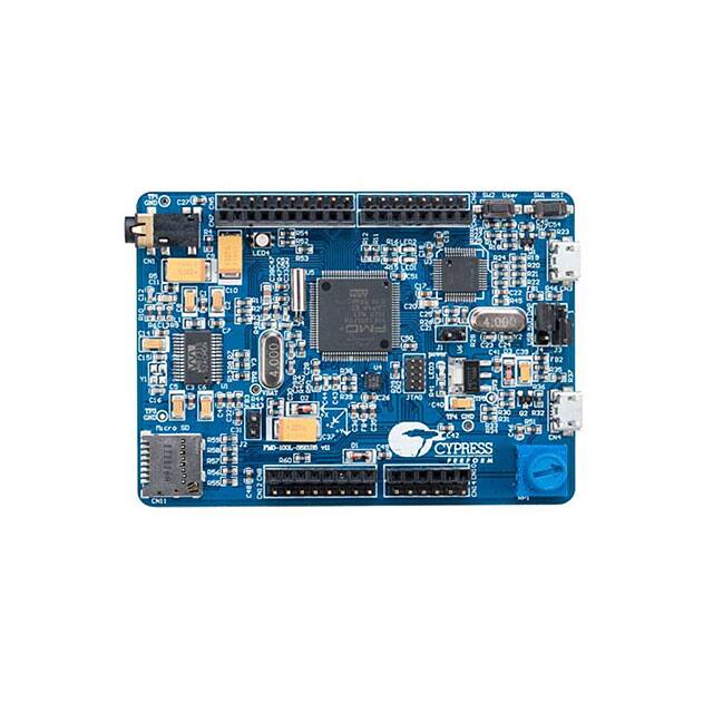 FM0-100L-S6E1B8Cypress Semiconductor Corp