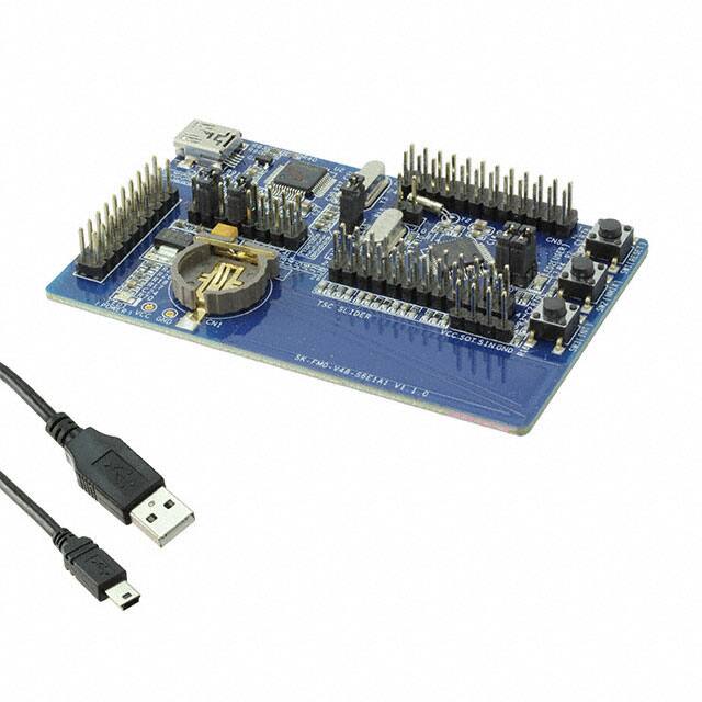 SK-FM0-V48-S6E1A1Cypress Semiconductor Corp